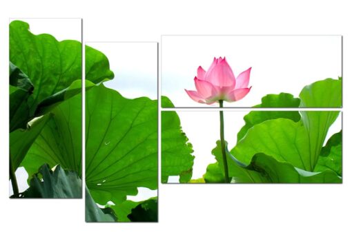 Tranh đồng hồ hoa sen HL0103