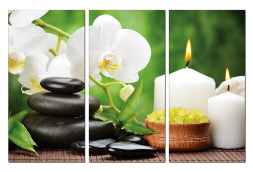 Tranh treo tường trang trí Spa SP0103