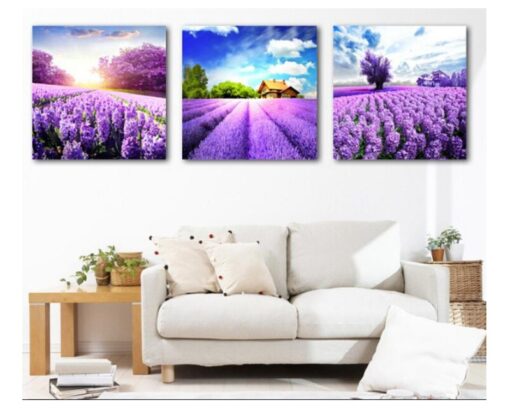Tranh treo tường cánh đồng lavender HL082