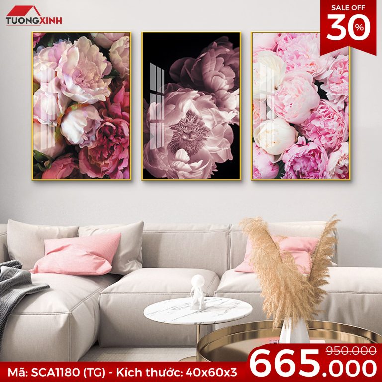 sca1180 trang guong