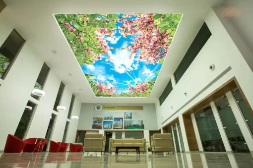 Tranh dán tường 3D khổ lớn trang trí trần nhà TDT508